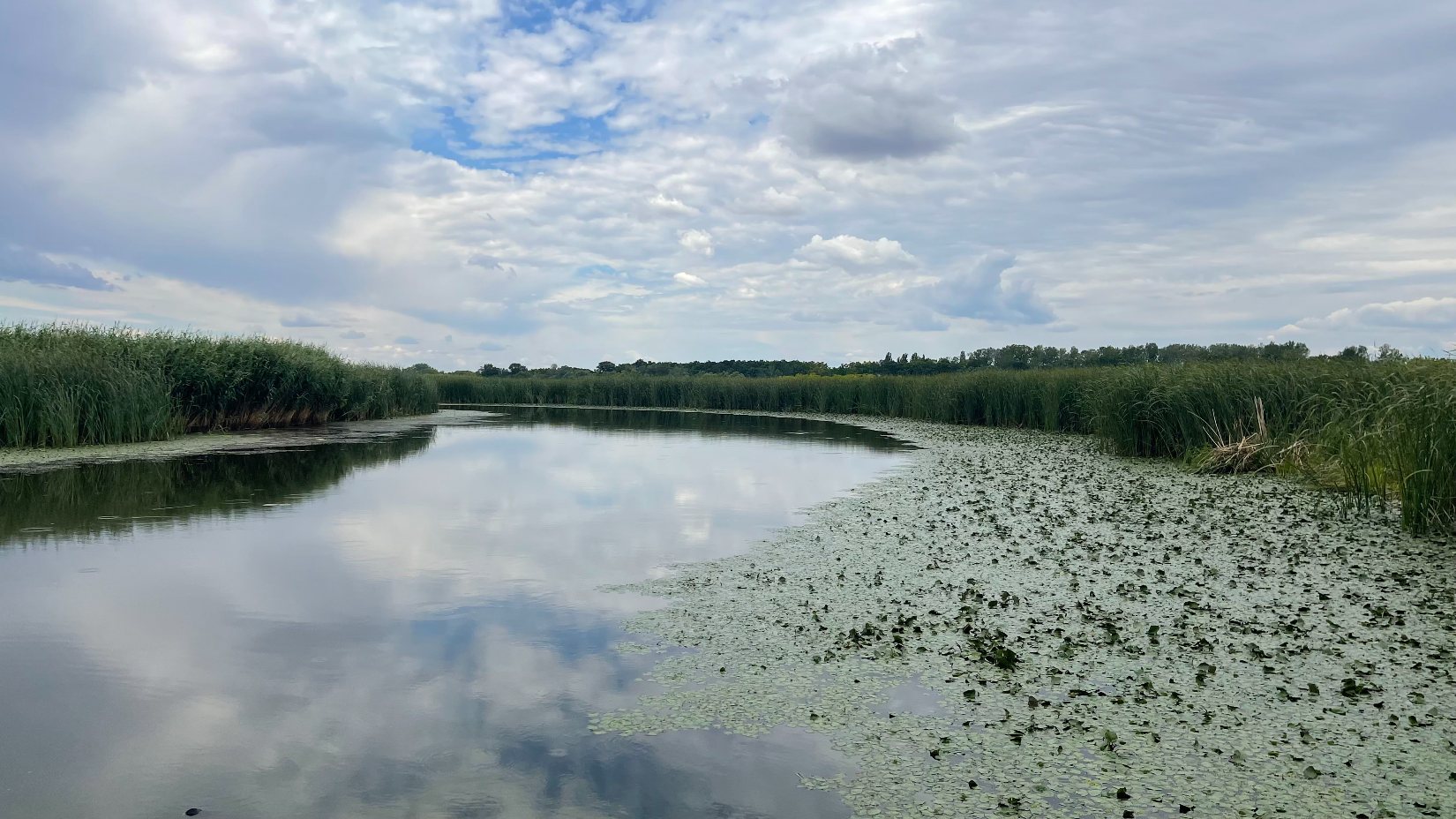 A Tisza-tó első beevezése