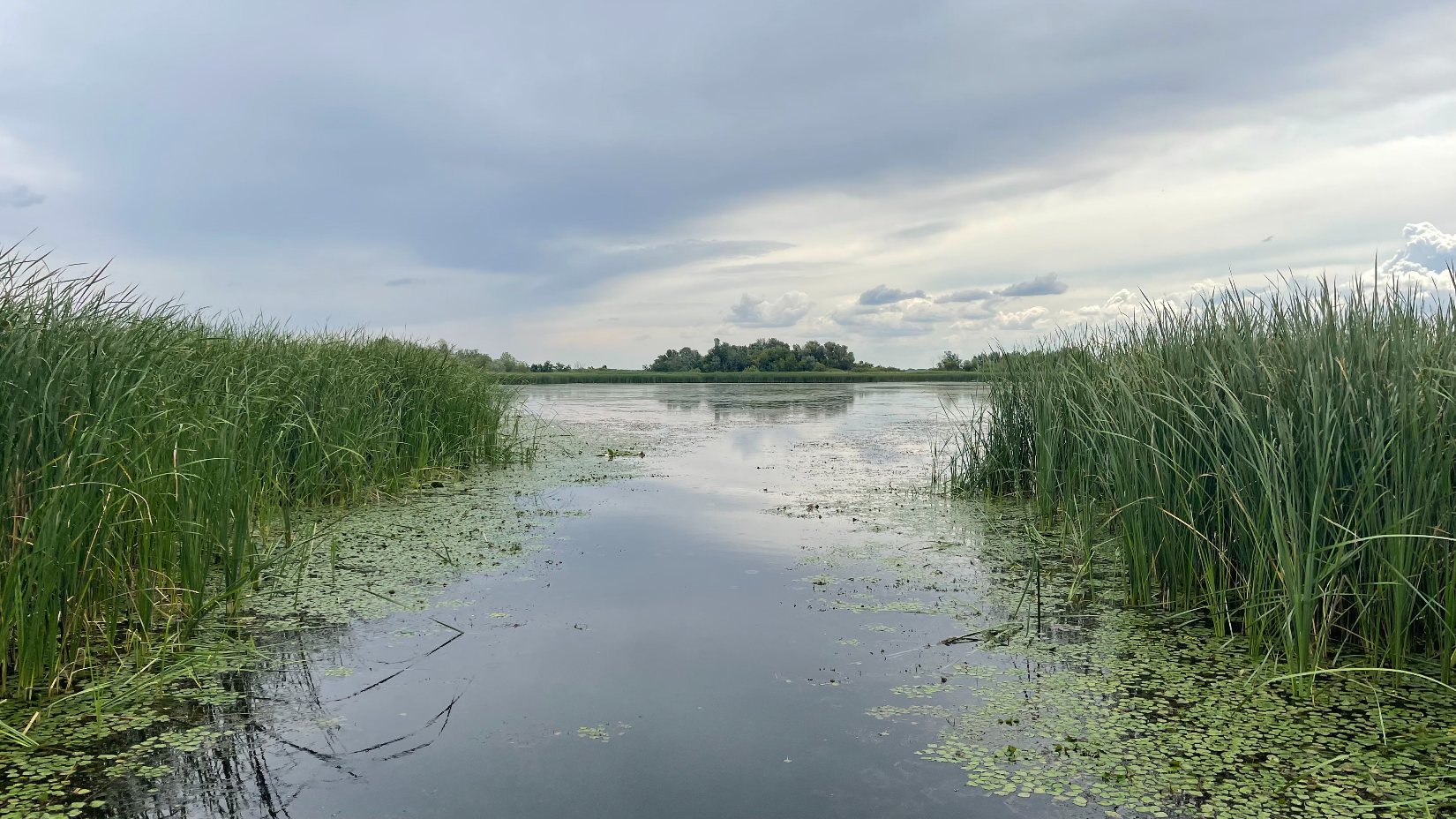 A Tisza-tó első beevezése
