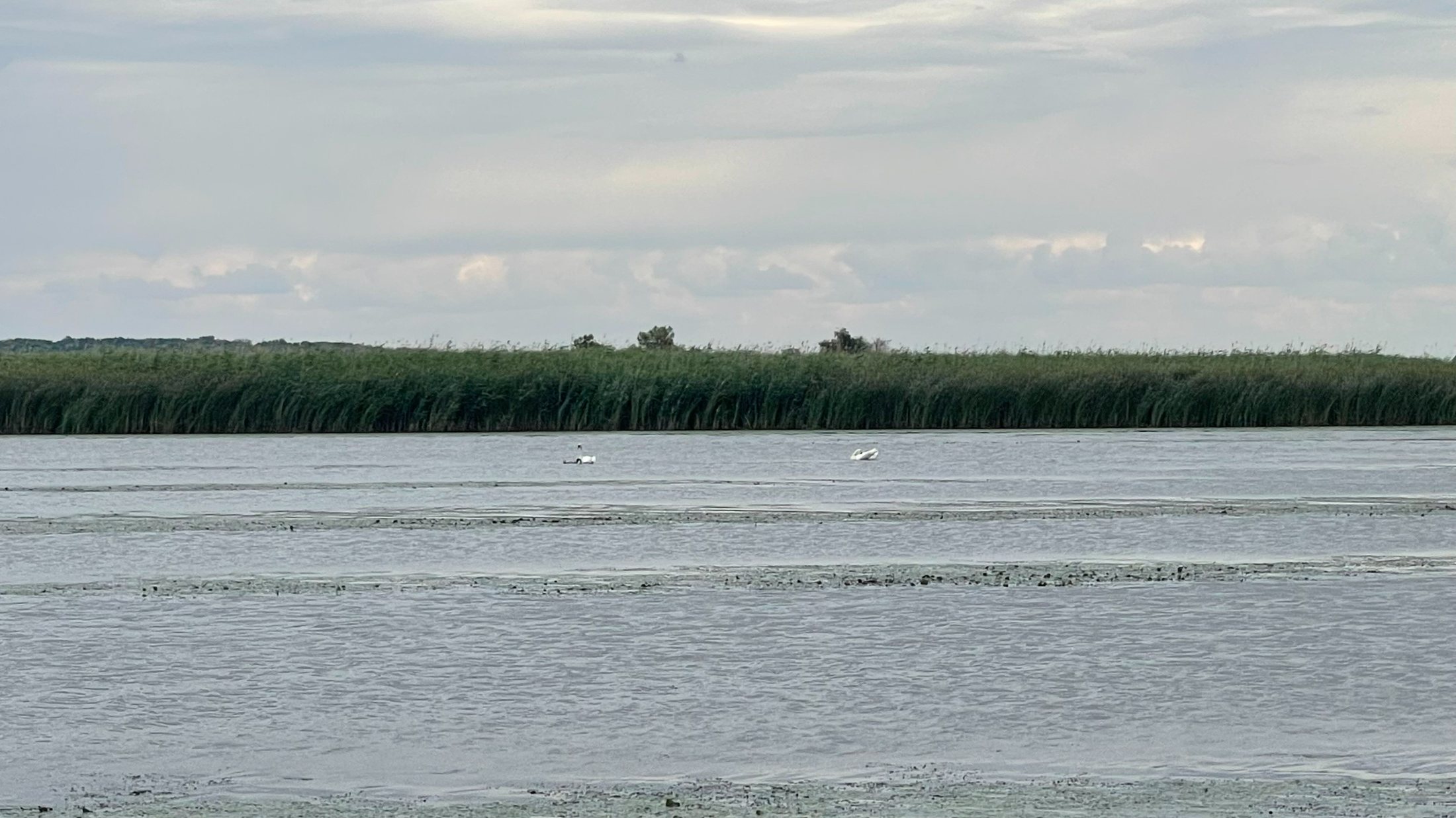 A Tisza-tó első beevezése