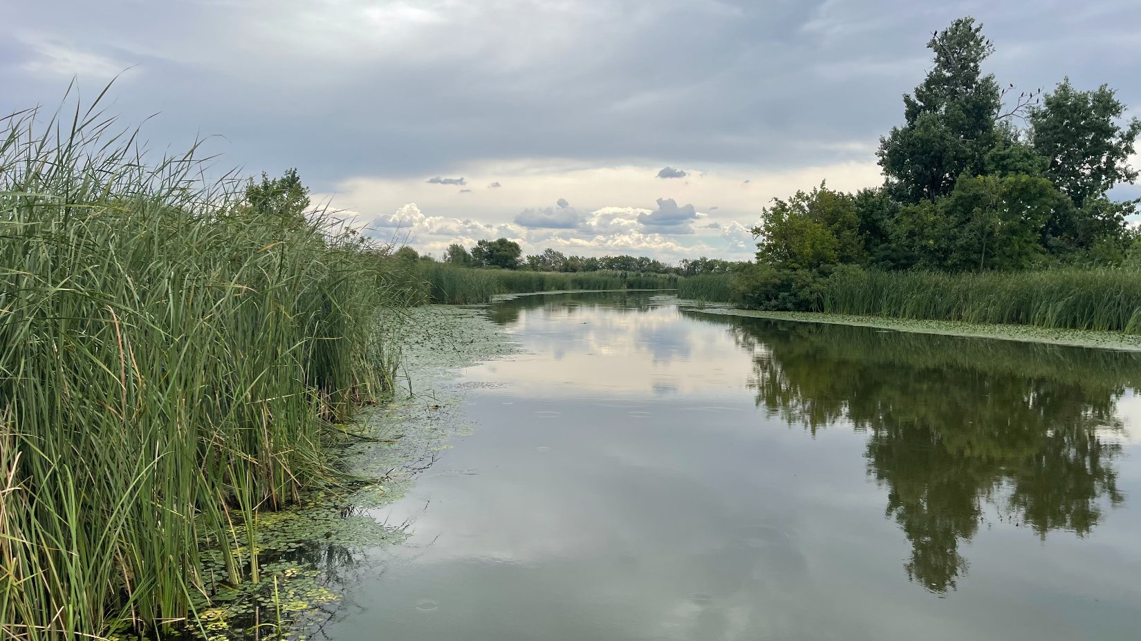 A Tisza-tó első beevezése