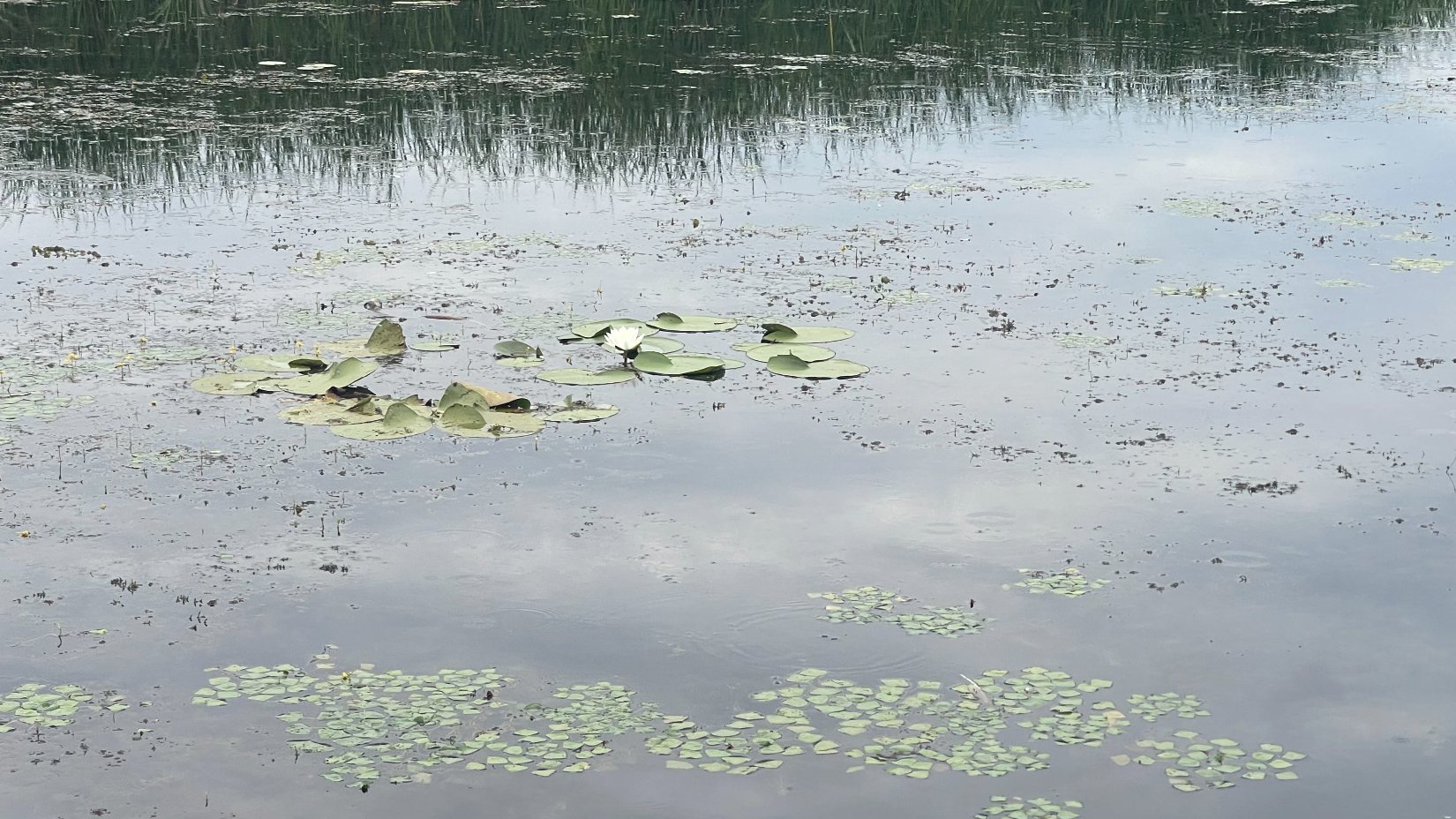 A Tisza-tó első beevezése